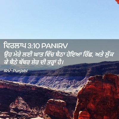 Picture 02 - ਵਿਰਲਾਪ 3:10 PANIRV - ਉਹ ਮੇਰੇ ਲਈ ਘਾਤ ਵਿੱਚ - Bible Verse Picture