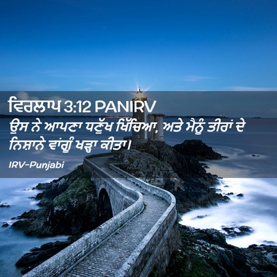 Picture 02 - ਵਿਰਲਾਪ 3:12 PANIRV - ਉਸ ਨੇ ਆਪਣਾ ਧਣੁੱਖ - Bible Verse Picture