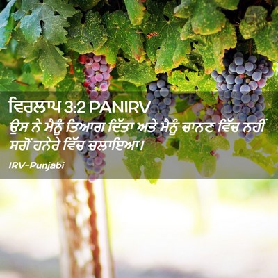 Picture 02 - ਵਿਰਲਾਪ 3:2 PANIRV - ਉਸ ਨੇ ਮੈਨੂੰ ਤਿਆਗ - Bible Verse Picture