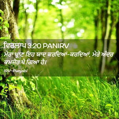 Picture 02 - ਵਿਰਲਾਪ 3:20 PANIRV - ਮੇਰਾ ਪ੍ਰਾਣ ਇਹ ਯਾਦ - Bible Verse Picture