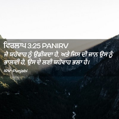 Picture 02 - ਵਿਰਲਾਪ 3:25 PANIRV - ਜੋ ਯਹੋਵਾਹ ਨੂੰ - Bible Verse Picture