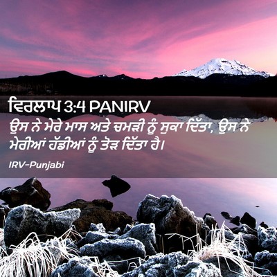 Picture 02 - ਵਿਰਲਾਪ 3:4 PANIRV - ਉਸ ਨੇ ਮੇਰੇ ਮਾਸ ਅਤੇ - Bible Verse Picture