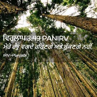 Picture 02 - ਵਿਰਲਾਪ 3:49 PANIRV - ਮੇਰੇ ਹੰਝੂ ਵਗਦੇ - Bible Verse Picture