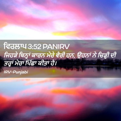 Picture 02 - ਵਿਰਲਾਪ 3:52 PANIRV - ਜਿਹੜੇ ਬਿਨ੍ਹਾਂ - Bible Verse Picture