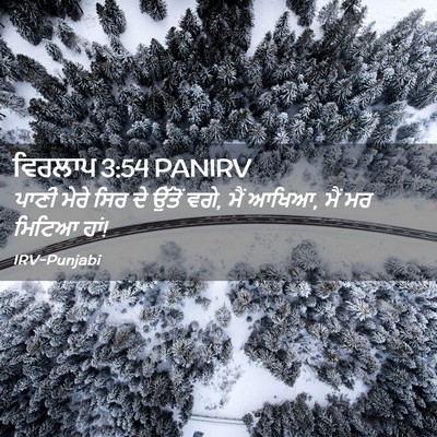 Picture 02 - ਵਿਰਲਾਪ 3:54 PANIRV - ਪਾਣੀ ਮੇਰੇ ਸਿਰ ਦੇ - Bible Verse Picture