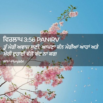 Picture 02 - ਵਿਰਲਾਪ 3:56 PANIRV - ਤੂੰ ਮੇਰੀ ਅਵਾਜ਼ - Bible Verse Picture