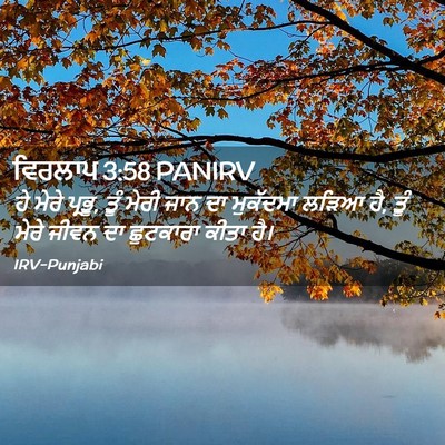 Picture 02 - ਵਿਰਲਾਪ 3:58 PANIRV - ਹੇ ਮੇਰੇ ਪ੍ਰਭੂ, ਤੂੰ - Bible Verse Picture