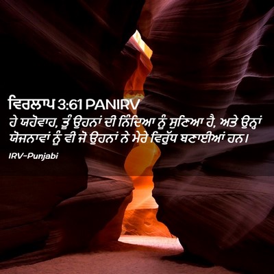 Picture 02 - ਵਿਰਲਾਪ 3:61 PANIRV - ਹੇ ਯਹੋਵਾਹ, ਤੂੰ - Bible Verse Picture