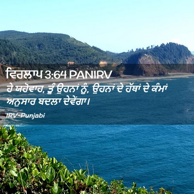 Picture 02 - ਵਿਰਲਾਪ 3:64 PANIRV - ਹੇ ਯਹੋਵਾਹ, ਤੂੰ - Bible Verse Picture