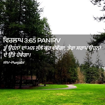 Picture 02 - ਵਿਰਲਾਪ 3:65 PANIRV - ਤੂੰ ਉਹਨਾਂ ਦਾ ਮਨ - Bible Verse Picture