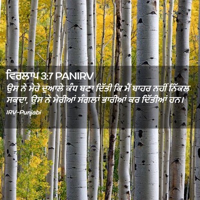 Picture 02 - ਵਿਰਲਾਪ 3:7 PANIRV - ਉਸ ਨੇ ਮੇਰੇ ਦੁਆਲੇ - Bible Verse Picture