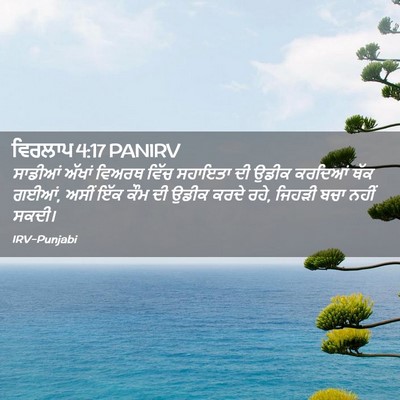 Picture 02 - ਵਿਰਲਾਪ 4:17 PANIRV - ਸਾਡੀਆਂ ਅੱਖਾਂ - Bible Verse Picture
