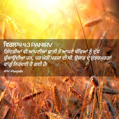 Picture 02 - ਵਿਰਲਾਪ 4:3 PANIRV - ਗਿੱਦੜੀਆਂ ਵੀ - Bible Verse Picture