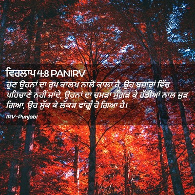 Picture 02 - ਵਿਰਲਾਪ 4:8 PANIRV - ਹੁਣ ਉਹਨਾਂ ਦਾ ਰੂਪ - Bible Verse Picture