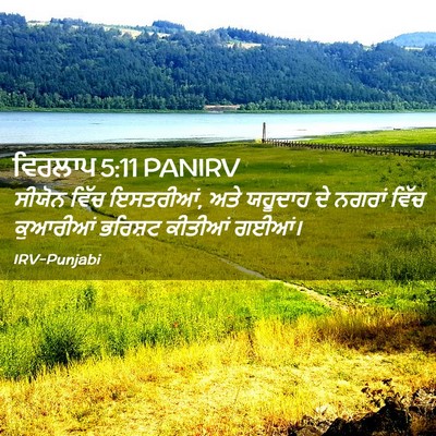 Picture 02 - ਵਿਰਲਾਪ 5:11 PANIRV - ਸੀਯੋਨ ਵਿੱਚ - Bible Verse Picture