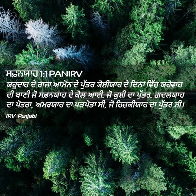 Picture 02 - ਸਫ਼ਨਯਾਹ 1:1 PANIRV - ਯਹੂਦਾਹ ਦੇ ਰਾਜਾ - Bible Verse Picture