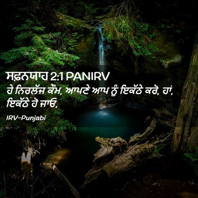 Picture 02 - ਸਫ਼ਨਯਾਹ 2:1 PANIRV - ਹੇ ਨਿਰਲੱਜ ਕੌਮ, ਆਪਣੇ - Bible Verse Picture
