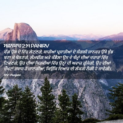 Picture 02 - ਸਫ਼ਨਯਾਹ 2:14 PANIRV - ਵੱਗ ਉਸ ਦੇ ਵਿੱਚ - Bible Verse Picture