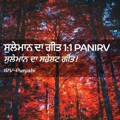 Picture 02 - ਸੁਲੇਮਾਨ ਦਾ ਗੀਤ 1:1 PANIRV - ਸੁਲੇਮਾਨ ਦਾ ਸਰੇਸ਼ਟ - Bible Verse Picture