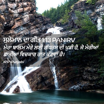 Picture 02 - ਸੁਲੇਮਾਨ ਦਾ ਗੀਤ 1:13 PANIRV - ਮੇਰਾ ਬਾਲਮ ਮੇਰੇ ਲਈ - Bible Verse Picture