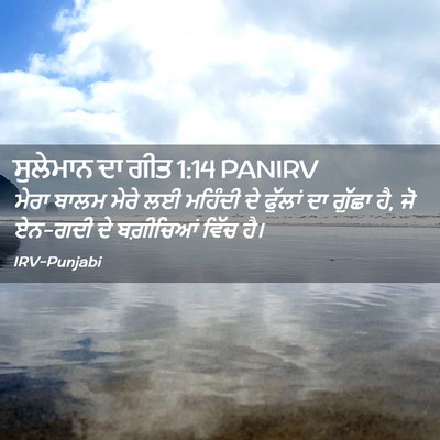 Picture 02 - ਸੁਲੇਮਾਨ ਦਾ ਗੀਤ 1:14 PANIRV - ਮੇਰਾ ਬਾਲਮ ਮੇਰੇ ਲਈ - Bible Verse Picture