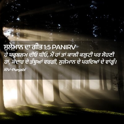 Picture 02 - ਸੁਲੇਮਾਨ ਦਾ ਗੀਤ 1:5 PANIRV - ਹੇ ਯਰੂਸ਼ਲਮ ਦੀਓ ਧੀਓ, - Bible Verse Picture