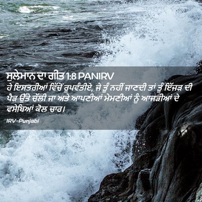 Picture 02 - ਸੁਲੇਮਾਨ ਦਾ ਗੀਤ 1:8 PANIRV - ਹੇ ਇਸਤਰੀਆਂ ਵਿੱਚੋਂ - Bible Verse Picture