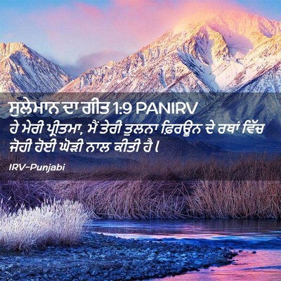 Picture 02 - ਸੁਲੇਮਾਨ ਦਾ ਗੀਤ 1:9 PANIRV - ਹੇ ਮੇਰੀ ਪ੍ਰੀਤਮਾ, - Bible Verse Picture