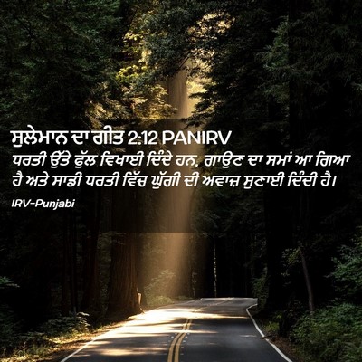 Picture 02 - ਸੁਲੇਮਾਨ ਦਾ ਗੀਤ 2:12 PANIRV - ਧਰਤੀ ਉੱਤੇ ਫੁੱਲ - Bible Verse Picture
