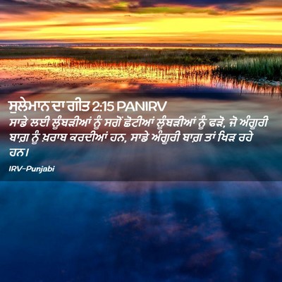 Picture 02 - ਸੁਲੇਮਾਨ ਦਾ ਗੀਤ 2:15 PANIRV - ਸਾਡੇ ਲਈ ਲੂੰਬੜੀਆਂ - Bible Verse Picture