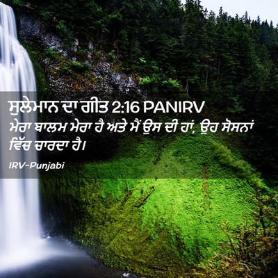 Picture 02 - ਸੁਲੇਮਾਨ ਦਾ ਗੀਤ 2:16 PANIRV - ਮੇਰਾ ਬਾਲਮ ਮੇਰਾ ਹੈ - Bible Verse Picture