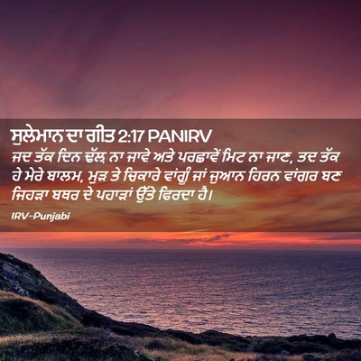 Picture 02 - ਸੁਲੇਮਾਨ ਦਾ ਗੀਤ 2:17 PANIRV - ਜਦ ਤੱਕ ਦਿਨ ਢੱਲ਼ ਨਾ - Bible Verse Picture