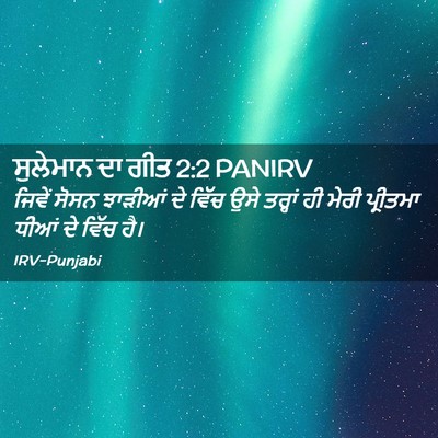 Picture 02 - ਸੁਲੇਮਾਨ ਦਾ ਗੀਤ 2:2 PANIRV - ਜਿਵੇਂ ਸੋਸਨ ਝਾੜੀਆਂ - Bible Verse Picture