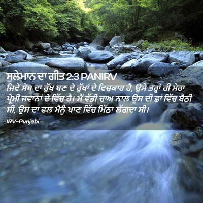 Picture 02 - ਸੁਲੇਮਾਨ ਦਾ ਗੀਤ 2:3 PANIRV - ਜਿਵੇਂ ਸੇਬ ਦਾ ਰੁੱਖ - Bible Verse Picture