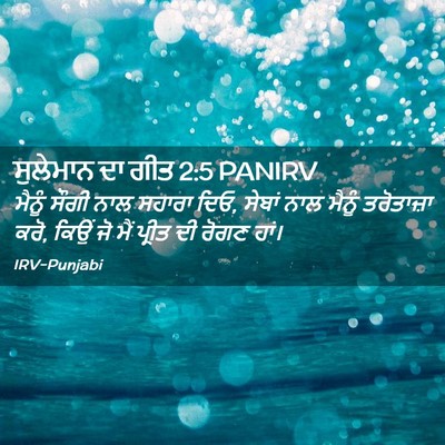 Picture 02 - ਸੁਲੇਮਾਨ ਦਾ ਗੀਤ 2:5 PANIRV - ਮੈਨੂੰ ਸੌਗੀ ਨਾਲ - Bible Verse Picture