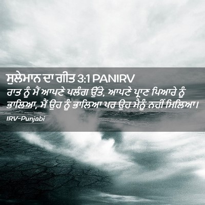 Picture 02 - ਸੁਲੇਮਾਨ ਦਾ ਗੀਤ 3:1 PANIRV - ਰਾਤ ਨੂੰ ਮੈਂ ਆਪਣੇ - Bible Verse Picture
