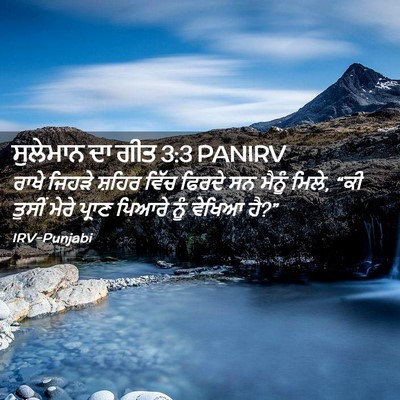 Picture 02 - ਸੁਲੇਮਾਨ ਦਾ ਗੀਤ 3:3 PANIRV - ਰਾਖੇ ਜਿਹੜੇ ਸ਼ਹਿਰ - Bible Verse Picture