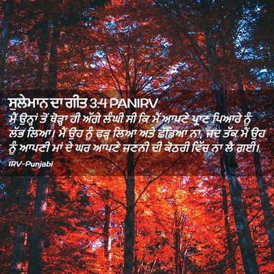 Picture 02 - ਸੁਲੇਮਾਨ ਦਾ ਗੀਤ 3:4 PANIRV - ਮੈਂ ਉਨ੍ਹਾਂ ਤੋਂ - Bible Verse Picture
