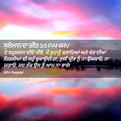 Picture 02 - ਸੁਲੇਮਾਨ ਦਾ ਗੀਤ 3:5 PANIRV - ਹੇ ਯਰੂਸ਼ਲਮ ਦੀਓ ਧੀਓ, - Bible Verse Picture