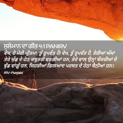 Picture 02 - ਸੁਲੇਮਾਨ ਦਾ ਗੀਤ 4:1 PANIRV - ਵੇਖ, ਹੇ ਮੇਰੀ - Bible Verse Picture