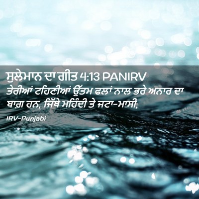 Picture 02 - ਸੁਲੇਮਾਨ ਦਾ ਗੀਤ 4:13 PANIRV - ਤੇਰੀਆਂ ਟਹਿਣੀਆਂ - Bible Verse Picture