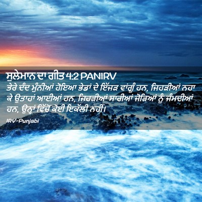 Picture 02 - ਸੁਲੇਮਾਨ ਦਾ ਗੀਤ 4:2 PANIRV - ਤੇਰੇ ਦੰਦ ਮੁੰਨੀਆਂ - Bible Verse Picture