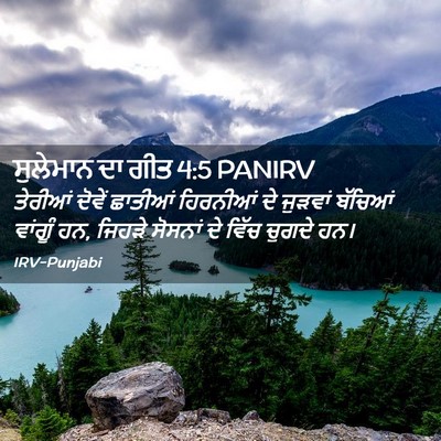 Picture 02 - ਸੁਲੇਮਾਨ ਦਾ ਗੀਤ 4:5 PANIRV - ਤੇਰੀਆਂ ਦੋਵੇਂ - Bible Verse Picture