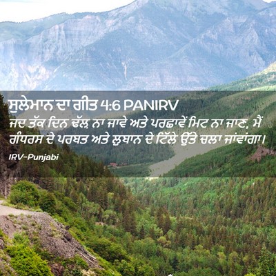 Picture 02 - ਸੁਲੇਮਾਨ ਦਾ ਗੀਤ 4:6 PANIRV - ਜਦ ਤੱਕ ਦਿਨ ਢੱਲ਼ ਨਾ - Bible Verse Picture