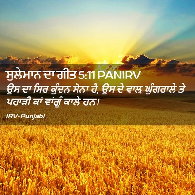 Picture 02 - ਸੁਲੇਮਾਨ ਦਾ ਗੀਤ 5:11 PANIRV - ਉਸ ਦਾ ਸਿਰ ਕੁੰਦਨ - Bible Verse Picture