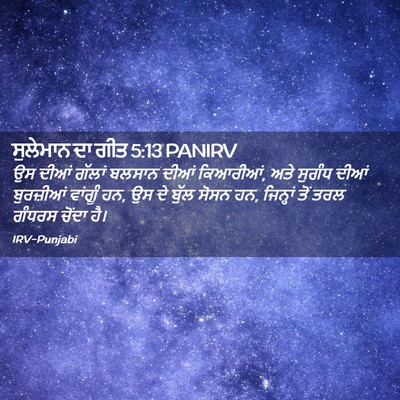 Picture 02 - ਸੁਲੇਮਾਨ ਦਾ ਗੀਤ 5:13 PANIRV - ਉਸ ਦੀਆਂ ਗੱਲਾਂ - Bible Verse Picture