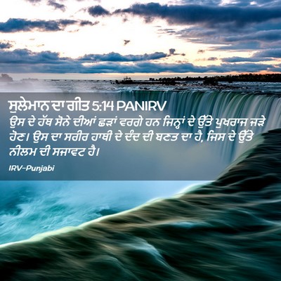 Picture 02 - ਸੁਲੇਮਾਨ ਦਾ ਗੀਤ 5:14 PANIRV - ਉਸ ਦੇ ਹੱਥ ਸੋਨੇ ਦੀਆਂ - Bible Verse Picture