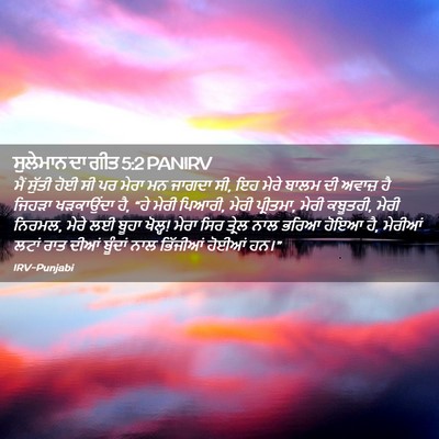Picture 02 - ਸੁਲੇਮਾਨ ਦਾ ਗੀਤ 5:2 PANIRV - ਮੈਂ ਸੁੱਤੀ ਹੋਈ ਸੀ ਪਰ - Bible Verse Picture