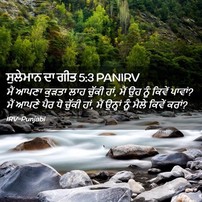 Picture 02 - ਸੁਲੇਮਾਨ ਦਾ ਗੀਤ 5:3 PANIRV - ਮੈਂ ਆਪਣਾ ਕੁੜਤਾ ਲਾਹ - Bible Verse Picture