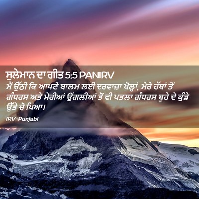 Picture 02 - ਸੁਲੇਮਾਨ ਦਾ ਗੀਤ 5:5 PANIRV - ਮੈਂ ਉੱਠੀ ਕਿ ਆਪਣੇ - Bible Verse Picture